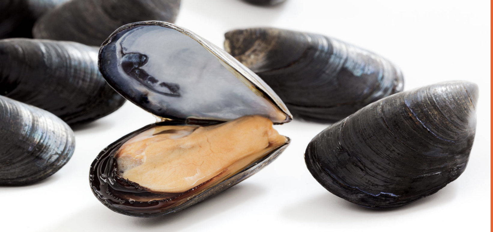 Schermata 2024-01-14 alle 14.38.59