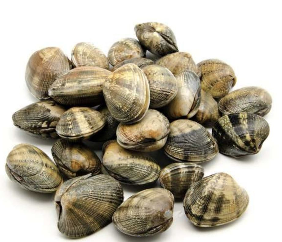 Schermata 2024-01-14 alle 14.40.30